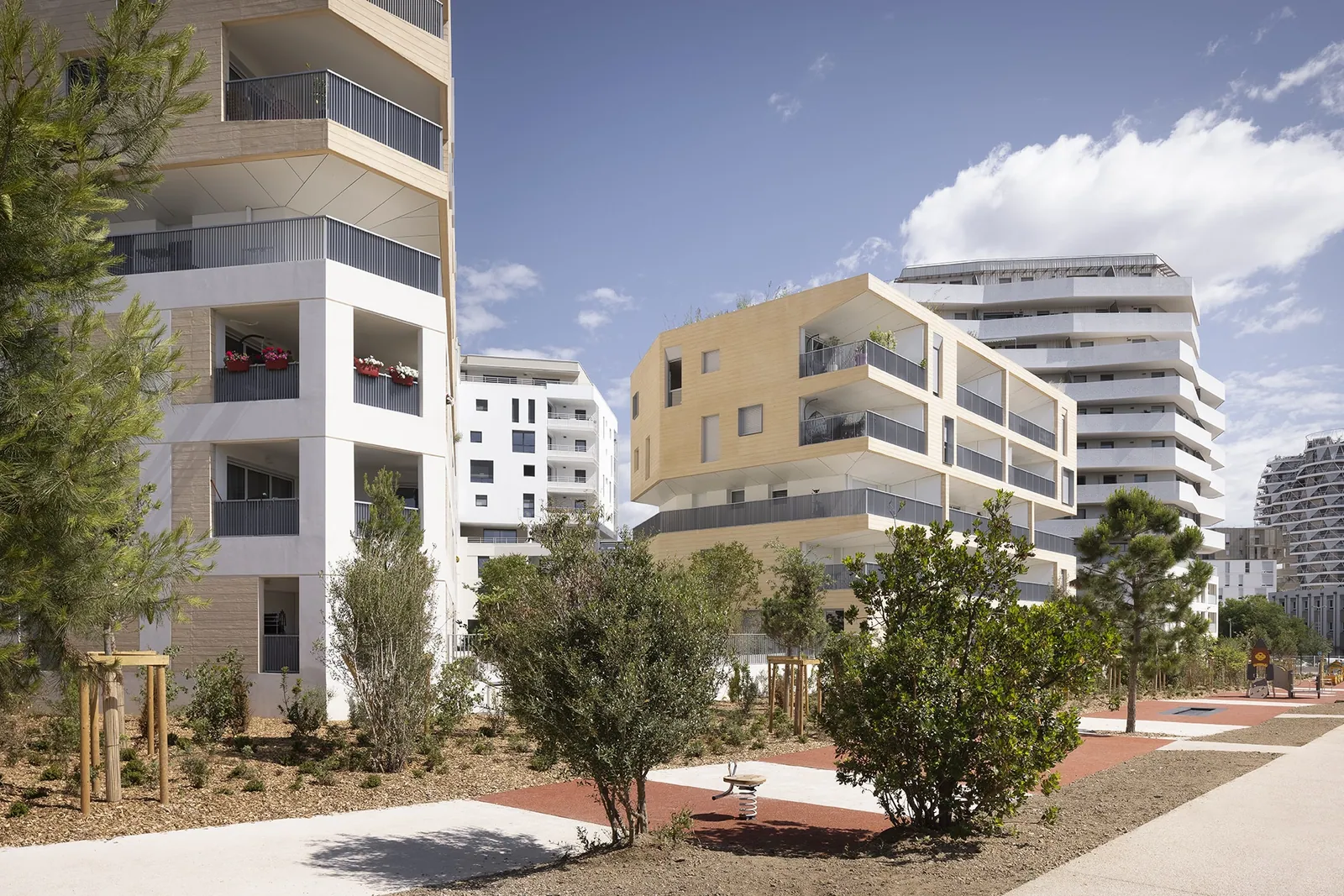 Carré Vendôme à Montpellier : cœur d'îlot planté de pins et d'arbousiers, volumes blancs et béton matricé teinté.