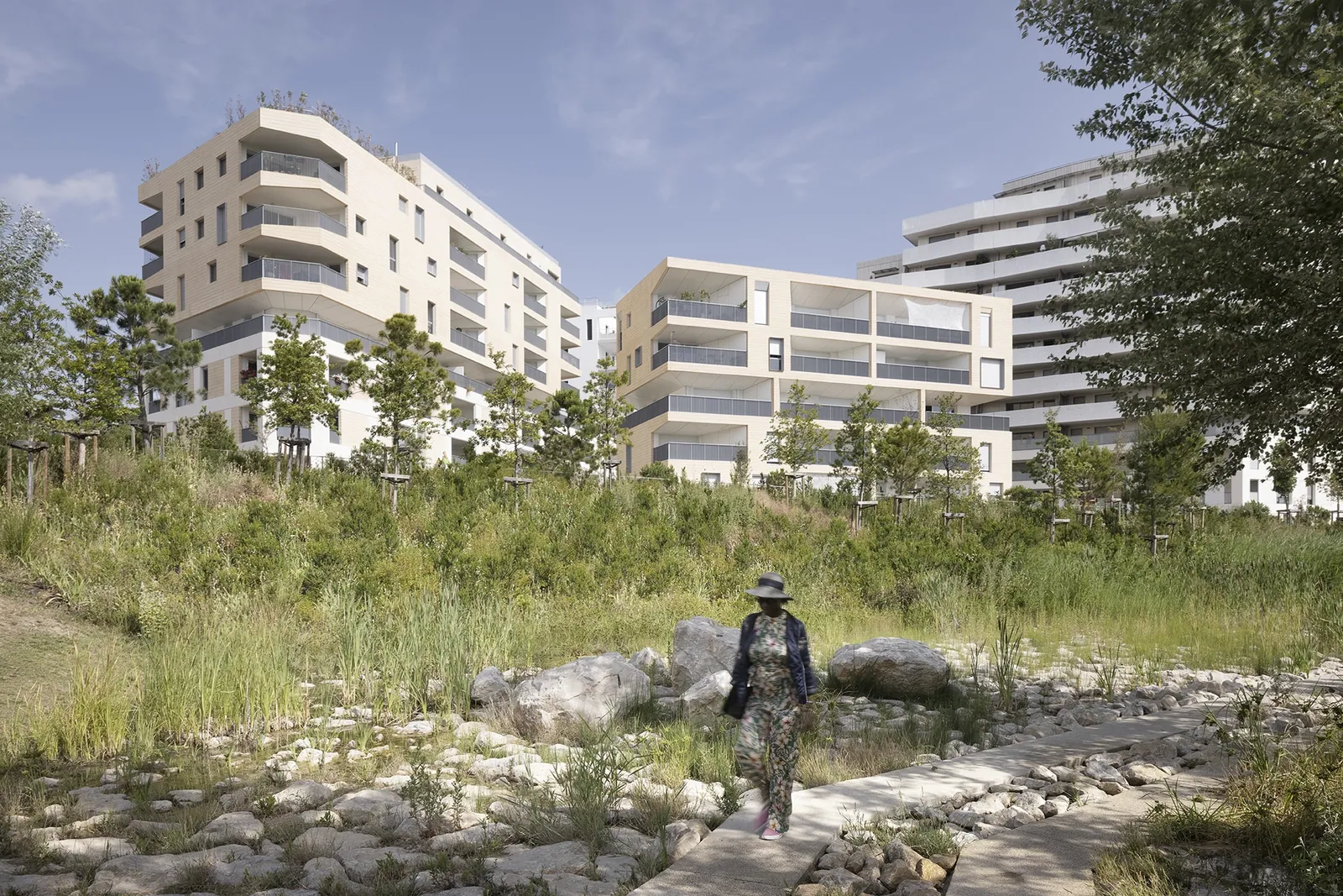 Le parc René Dumont en pied d'immeuble : noue plantée, blocs de pierre, végétation méditerranéenne et silhouette des bâtiments à l'arrière-plan.